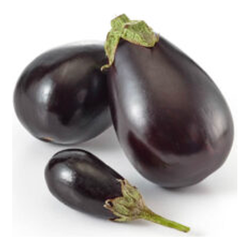 Aubergine