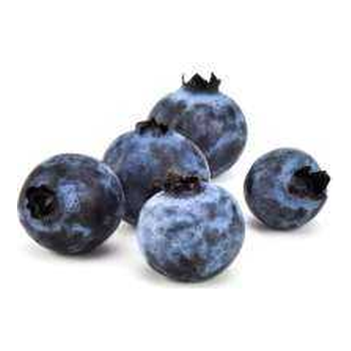 Bleuet