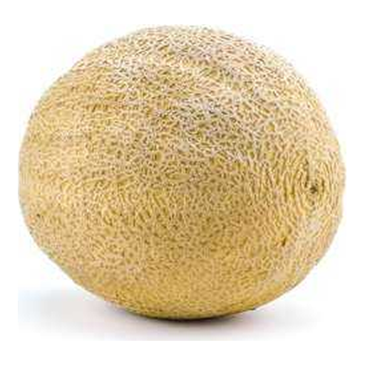 Cantaloup