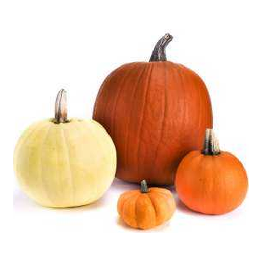 Citrouille