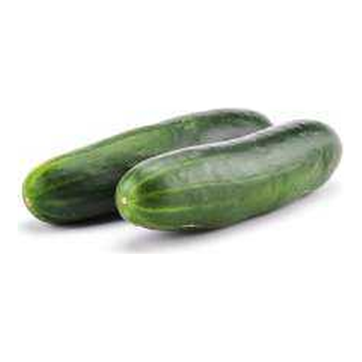Concombre