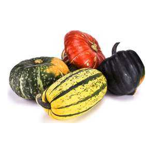 Courge (variétés)
