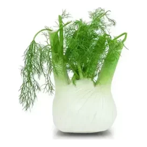 Fenouil