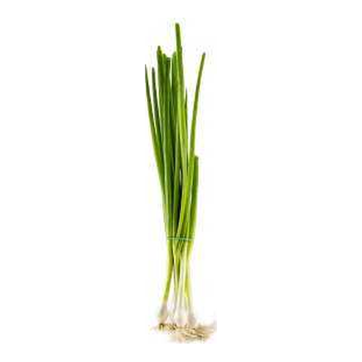 Oignon vert