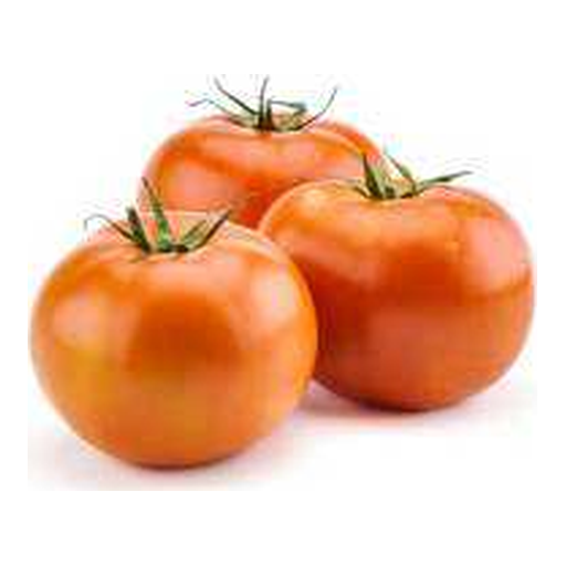 Tomate de champ