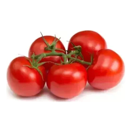 Tomate de serre